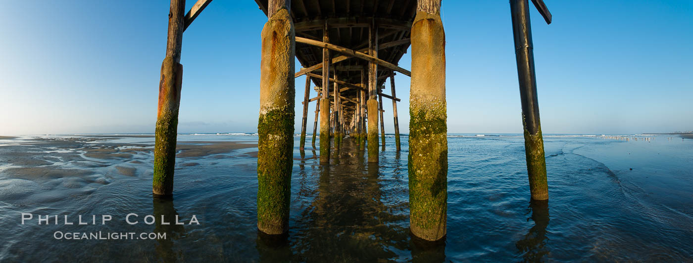 Newport Pier, underneath the pier, pilings and ocean. Newport Beach, California, USA, natural history stock photograph, photo id 28473