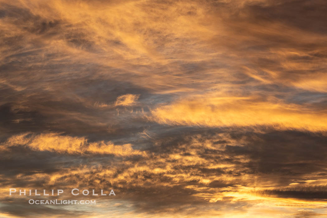Nice sunset, Golfo Nuevo, Peninsula Valdes, Argentina. By permission of the Government of Argentina, Chubut, permit # 51 / 2025-SsCyA., natural history stock photograph, photo id 41302