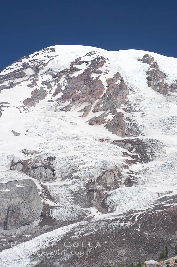 Nisqually Glacier, viewed from the Skyline Trail, summer, Paradise Meadows. Mount Rainier National Park, Washington, USA, natural history stock photograph, photo id 13888