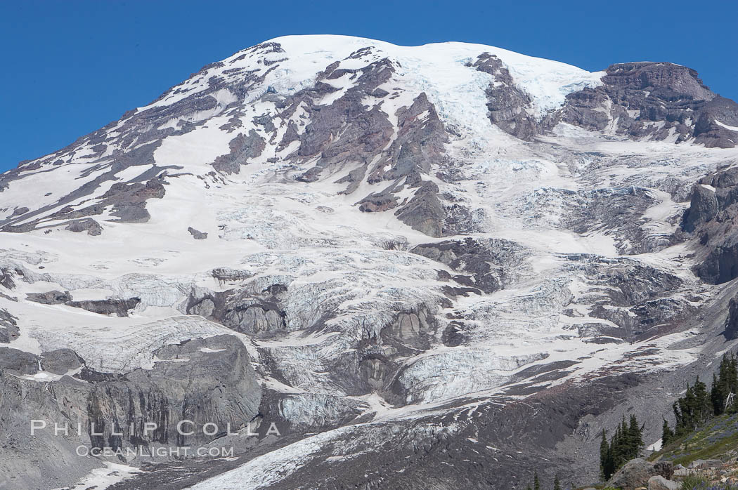 Nisqually Glacier, viewed from the Skyline Trail, summer, Paradise Meadows. Mount Rainier National Park, Washington, USA, natural history stock photograph, photo id 13887