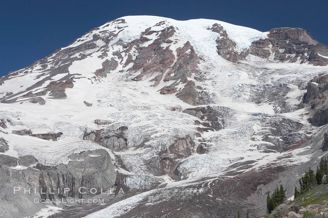 Nisqually Glacier, viewed from the Skyline Trail, summer, Paradise Meadows. Mount Rainier National Park, Washington, USA, natural history stock photograph, photo id 13885