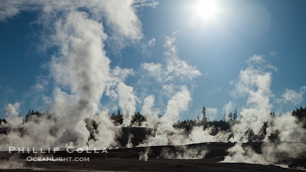 Steam rises at sunrise in Norris Geyser Basin.  Located at the intersection of three tectonic faults, Norris Geyser Basin is the hottest and most active geothermal area in Yellowstone National Park., natural history stock photograph, photo id 26943
