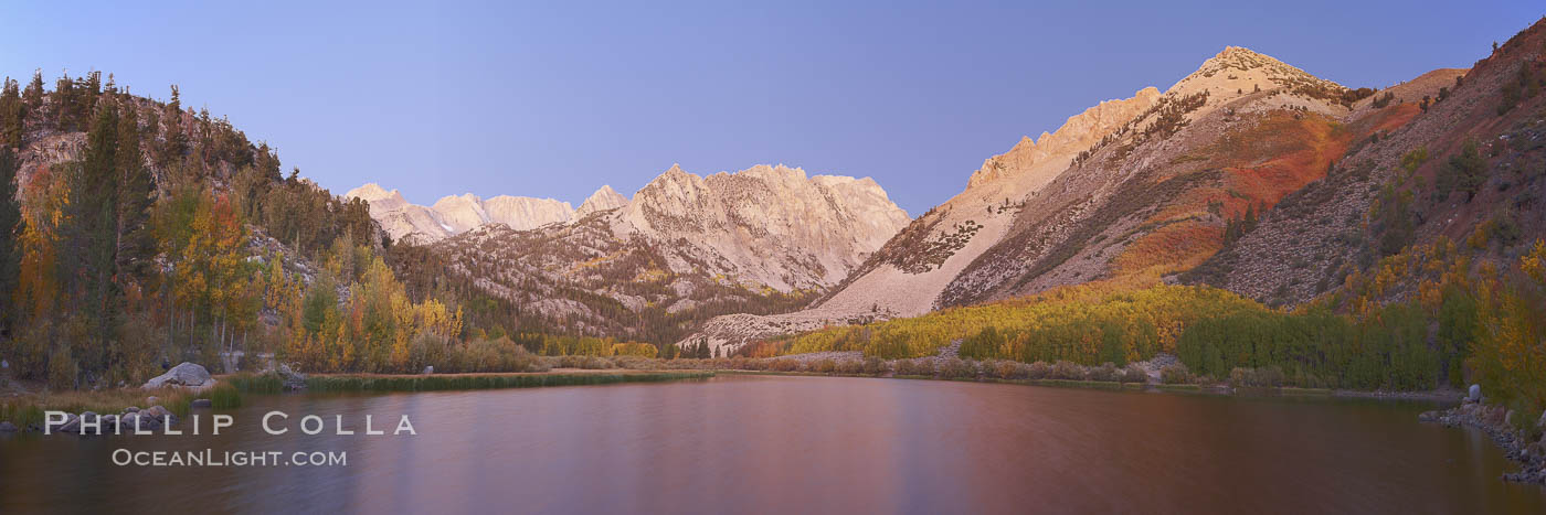 North Lake lit by alpenglow before sunrise, a three frame panorama, with groves of yellow and orange aspen trees on the side of Paiute Peak. Bishop Creek Canyon, Sierra Nevada Mountains, California, USA, natural history stock photograph, photo id 23336