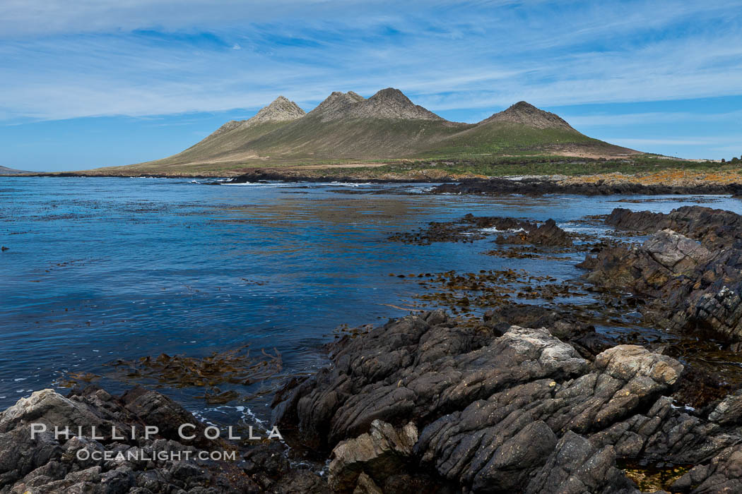 Northeastern coast of Steeple Jason Island, looking toward the southern half of the island.  Steeple Jason is one of the remote Jason Group of Islands in the West Falklands.  Uninhabited, the island is spectacular both for its rugged scenery and its enormous breeding colony of black-browed albatross.  Steeple Jason Island is now owned and administered by the Wildlife Conservation Society. Falkland Islands, United Kingdom, natural history stock photograph, photo id 24101