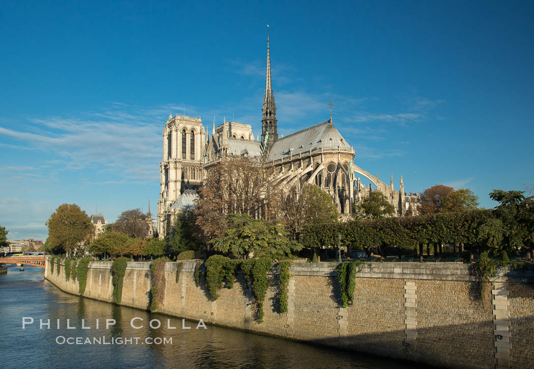 Notre Dame de Paris. Notre Dame de Paris ("Our Lady of Paris"), also known as Notre Dame Cathedral or simply Notre Dame, is a historic Roman Catholic Marian cathedral on the eastern half of the Ile de la Cite in the fourth arrondissement of Paris, France. Widely considered one of the finest examples of French Gothic architecture and among the largest and most well-known churches in the world ever built, Notre Dame is the cathedral of the Catholic Archdiocese of Paris., natural history stock photograph, photo id 28255