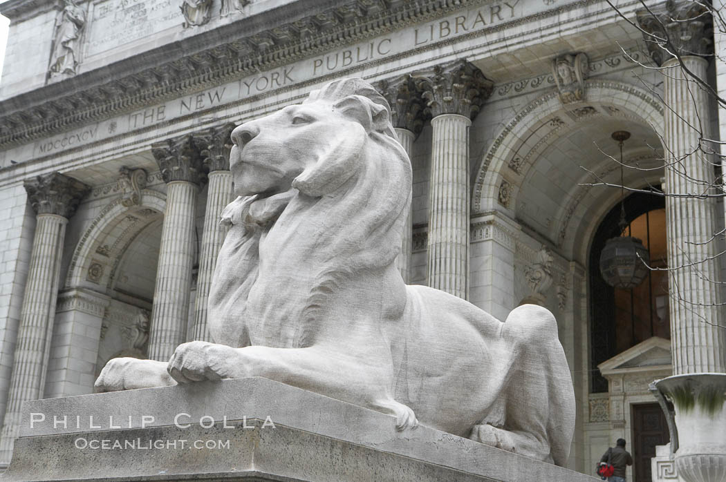The stone lions Patience and Fortitude guard the entrance to the New York City Public Library. Manhattan, USA, natural history stock photograph, photo id 11154