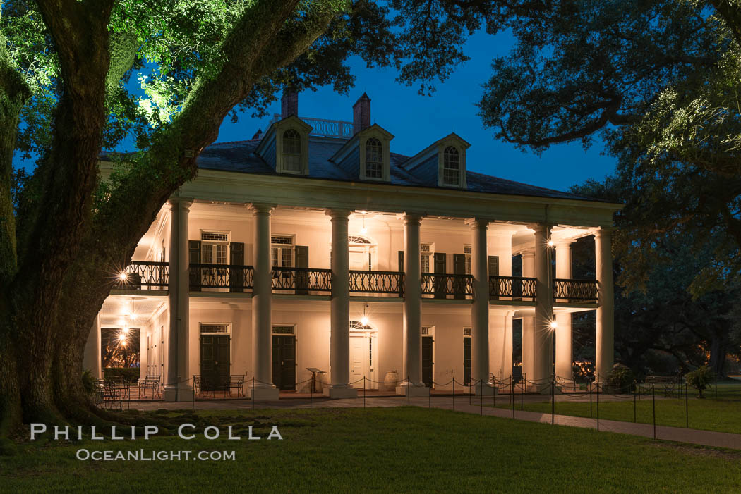 Oak Alley Plantation and its famous shaded tunnel of  300-year-old southern live oak trees (Quercus virginiana).  The plantation is now designated as a National Historic Landmark. Vacherie, Louisiana, USA, Quercus virginiana, natural history stock photograph, photo id 31014