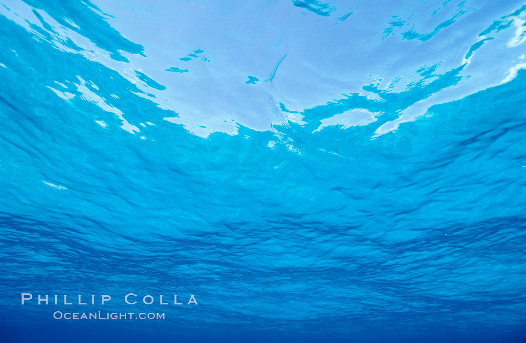 The ocean surface, seen from underwater, ripples with waves and wind and bright sunlight. Bahamas, natural history stock photograph, photo id 05668