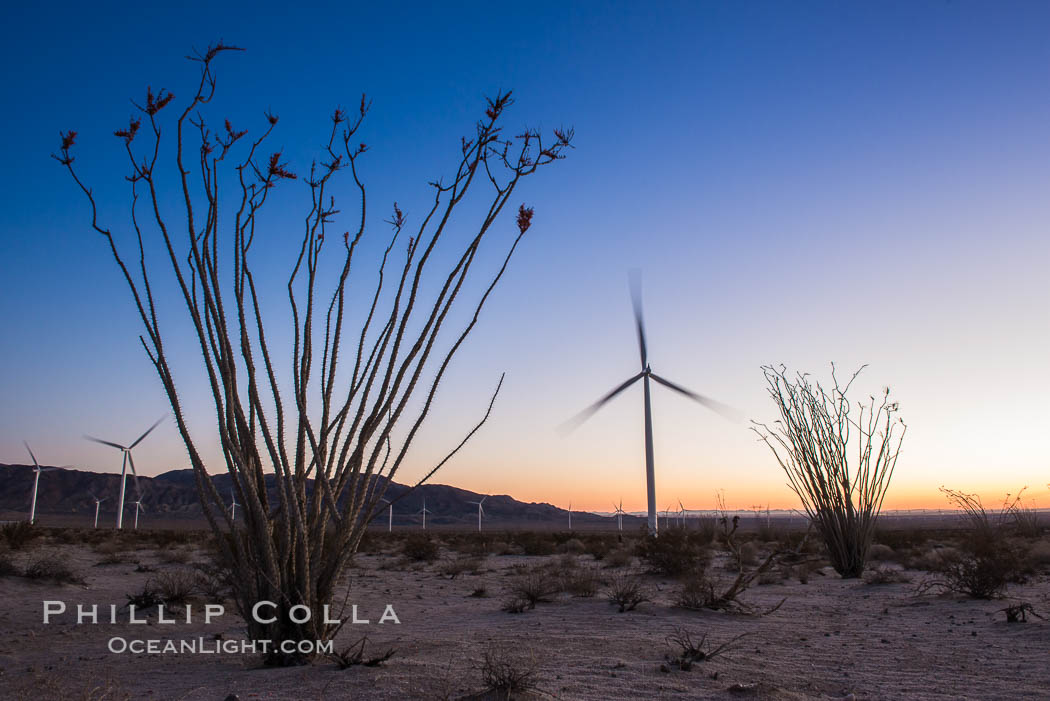 Ocotillo Express Wind Energy Projects, moving turbines lit by the rising sun, California, USA, natural history stock photograph, photo id 30250