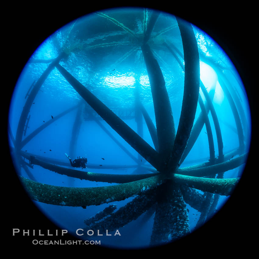 Oil Rig Ellen and Elly, Underwater Structure. Long Beach, California, USA, natural history stock photograph, photo id 34662