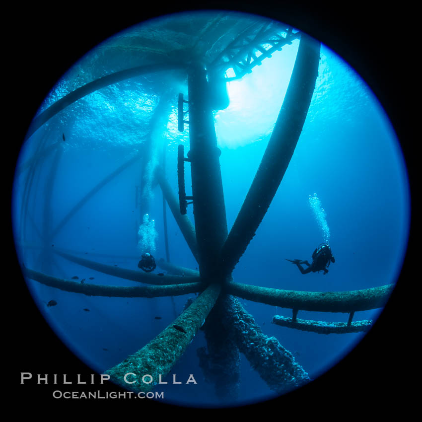 Oil Rig Ellen and Elly, Underwater Structure. Long Beach, California, USA, natural history stock photograph, photo id 34655