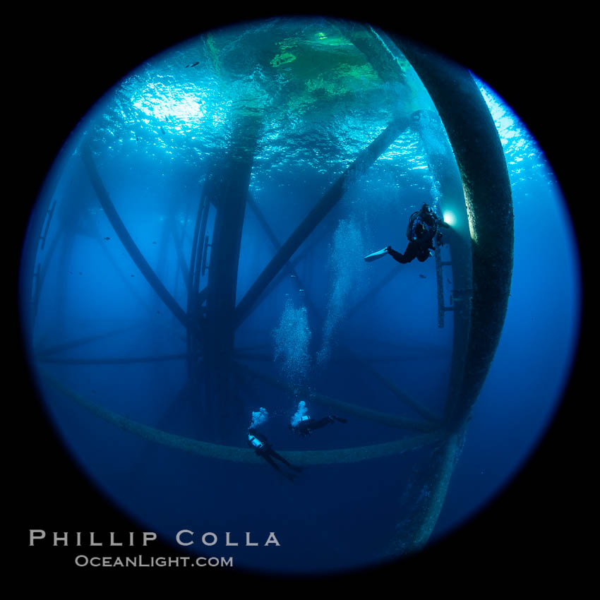 Oil Rig Ellen and Elly, Underwater Structure. Long Beach, California, USA, natural history stock photograph, photo id 34673