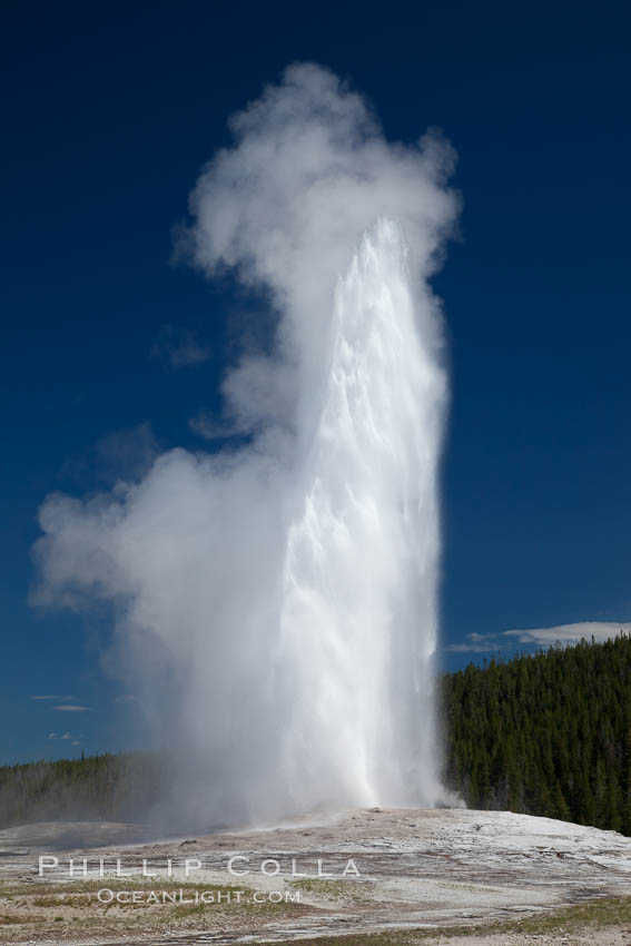 Old Faithful geyser.  Reaching up to 185' in height and lasting up to 5 minutes, Old Faithful geyser is the most famous geyser in the world and the first geyser in Yellowstone to be named. Upper Geyser Basin, Yellowstone National Park, Wyoming, USA, natural history stock photograph, photo id 26945