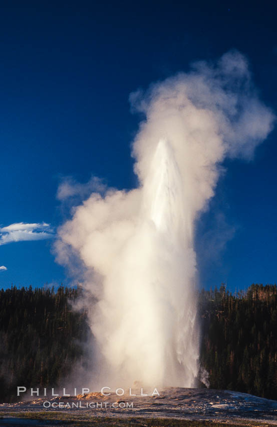Old Faithful geyser at peak eruption. Upper Geyser Basin, Yellowstone National Park, Wyoming, USA, natural history stock photograph, photo id 07182