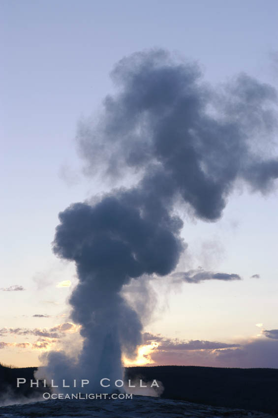 Old Faithful geyser at sunset. Upper Geyser Basin, Yellowstone National Park, Wyoming, USA, natural history stock photograph, photo id 07198