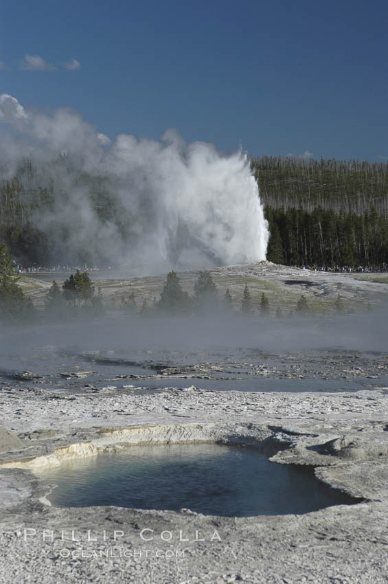 Old Faithful Geyser erupting, viewed from Geyser Hill with unidentified pool in foreground. Upper Geyser Basin, Yellowstone National Park, Wyoming, USA, natural history stock photograph, photo id 07234