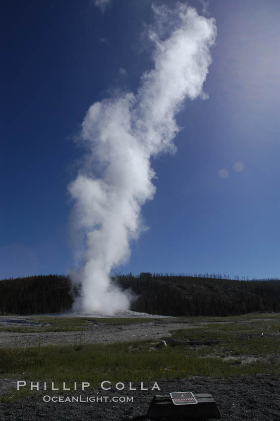 Steam billows from Old Faithful geyser as it cycles between eruptions. Sometimes the amount of steam is so voluminous that first-time visitors mistake it for a full eruption. Upper Geyser Basin, Yellowstone National Park, Wyoming, USA, natural history stock photograph, photo id 07310