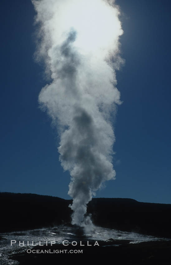 Old Faithful geyser during steam phase that follows the main eruption. Upper Geyser Basin, Yellowstone National Park, Wyoming, USA, natural history stock photograph, photo id 07184