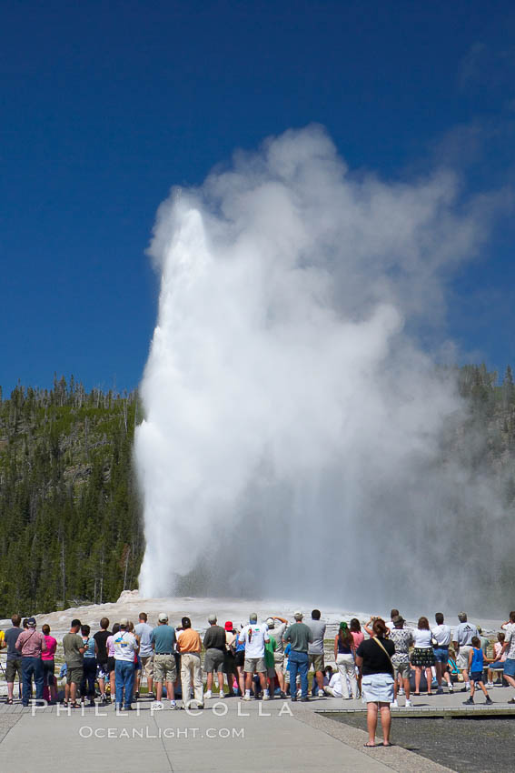 A crowd enjoys watching Old Faithful geyser at peak eruption. Upper Geyser Basin, Yellowstone National Park, Wyoming, USA, natural history stock photograph, photo id 13364