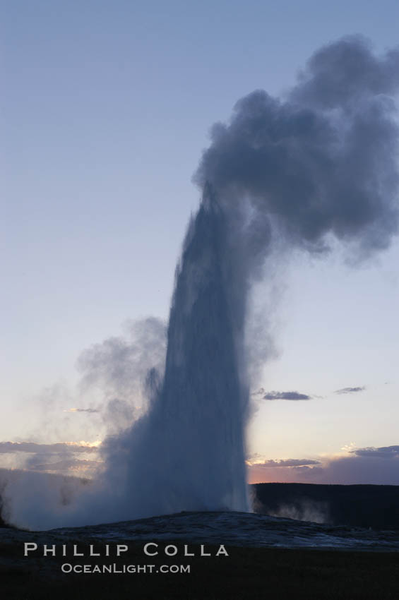 Old Faithful geyser at sunset. Upper Geyser Basin, Yellowstone National Park, Wyoming, USA, natural history stock photograph, photo id 07197