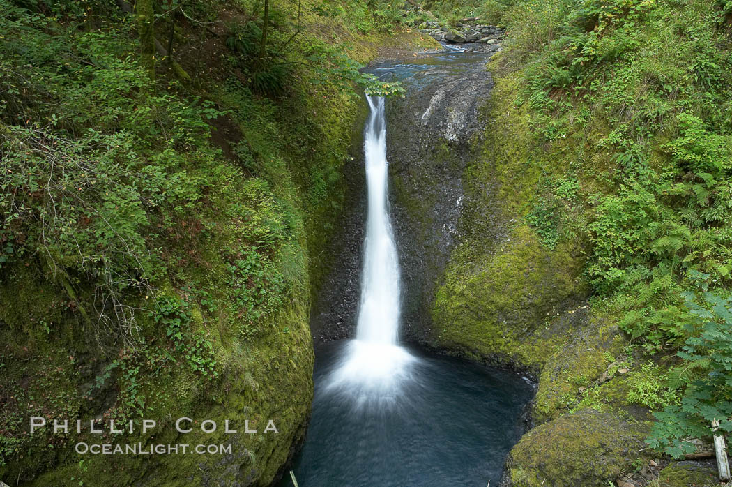 Oneonta Falls drops 50 feet in the Oneonta Gorge. Columbia River Gorge National Scenic Area, Oregon, USA, natural history stock photograph, photo id 19322