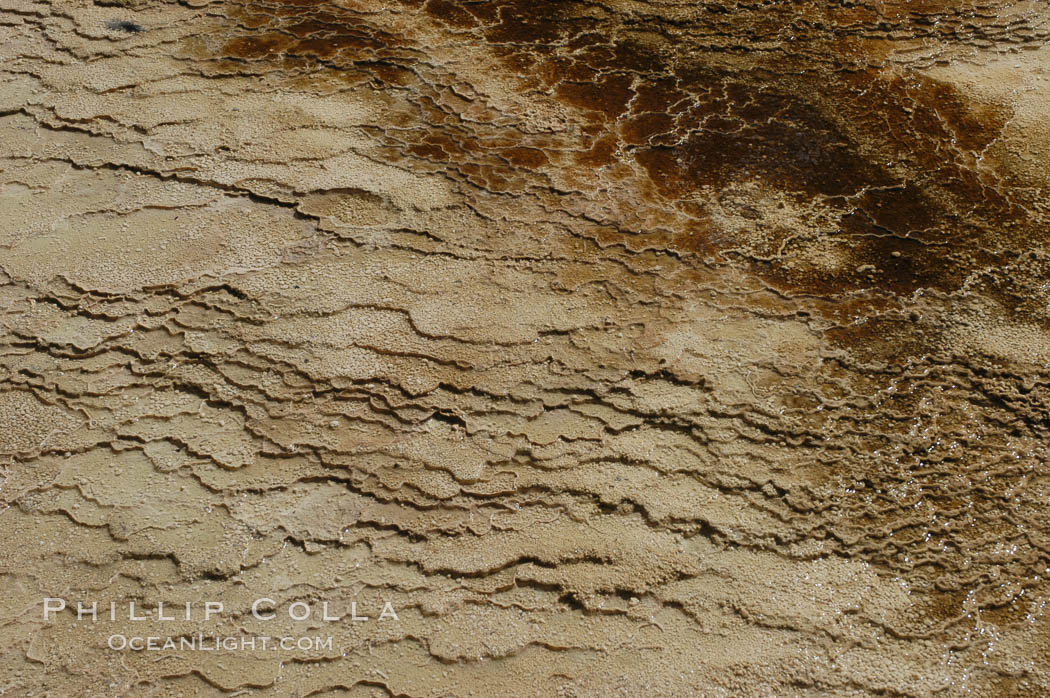 Detail showing mineral deposition and thermophilic cyanobacteria and algae, Orange Spring Mound. Yellowstone National Park, Wyoming, USA, natural history stock photograph, photo id 07288