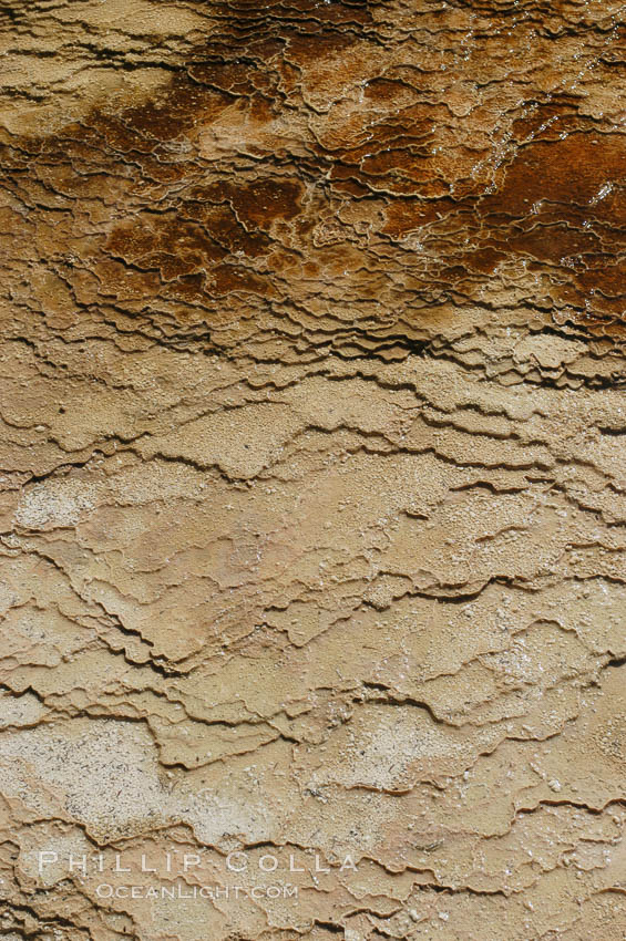 Detail showing mineral deposition and thermophilic cyanobacteria and algae, Orange Spring Mound. Yellowstone National Park, Wyoming, USA, natural history stock photograph, photo id 07285