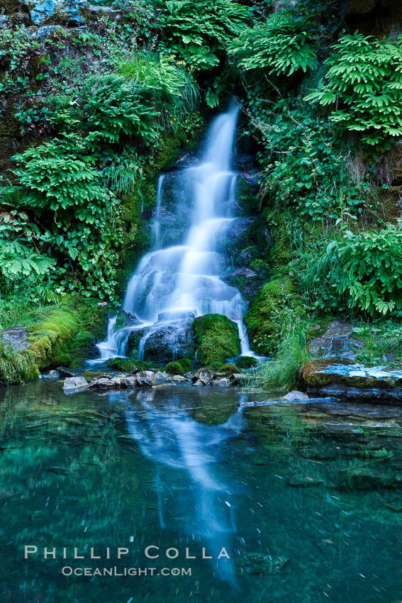 Small waterfall near The Chateau at Oregon Caves National Monument. USA, natural history stock photograph, photo id 25858