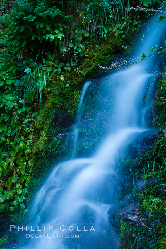 Small waterfall near The Chateau at Oregon Caves National Monument. USA, natural history stock photograph, photo id 25856