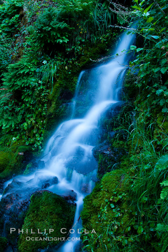 Small waterfall near The Chateau at Oregon Caves National Monument. USA, natural history stock photograph, photo id 25855