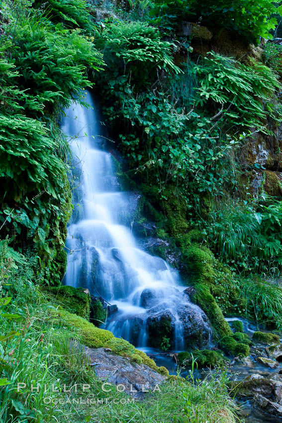 Small waterfall near The Chateau at Oregon Caves National Monument. USA, natural history stock photograph, photo id 25859
