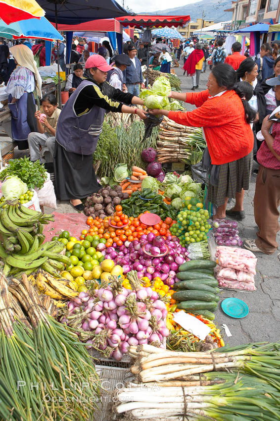 Otavalo market, a large and famous Andean market high in the Ecuadorian mountains, is crowded with locals and tourists each Saturday. San Pablo del Lago, natural history stock photograph, photo id 16800