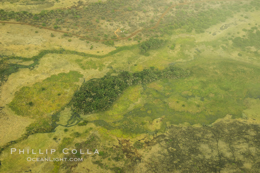 Over central Kenya, showing agricultural regions., natural history stock photograph, photo id 29766