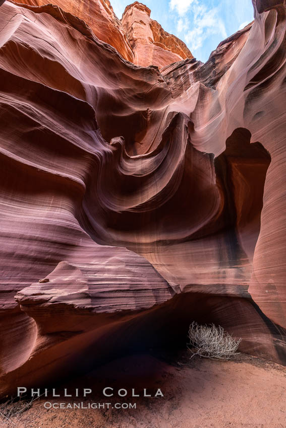 Owl Canyon, a beautiful slot canyon that is part of the larger Antelope Canyon system. Page, Arizona. Navajo Tribal Lands, USA, natural history stock photograph, photo id 36031