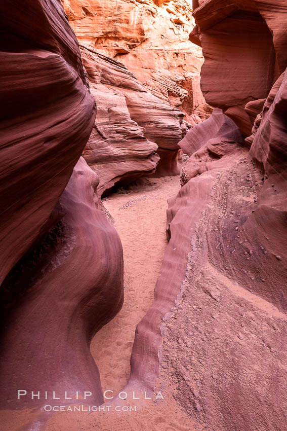 Owl Canyon, a beautiful slot canyon that is part of the larger Antelope Canyon system. Page, Arizona. Navajo Tribal Lands, USA, natural history stock photograph, photo id 36029