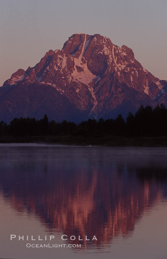 Mount Moran in the Teton Range is reflected at sunrise in a sidewater of the Snake River at Oxbow Bend, summer. Grand Teton National Park, Wyoming, USA, natural history stock photograph, photo id 07390
