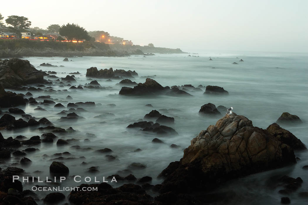 Waves breaking over rocks appear as a foggy mist in this time exposure.  Pacific Grove. Lovers Point, California, USA, natural history stock photograph, photo id 14913