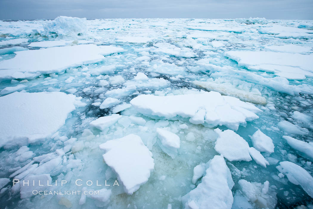 Pack ice and brash ice fills the Weddell Sea, near the Antarctic Peninsula.  This pack ice is a combination of broken pieces of icebergs, sea ice that has formed on the ocean. Southern Ocean, natural history stock photograph, photo id 24790