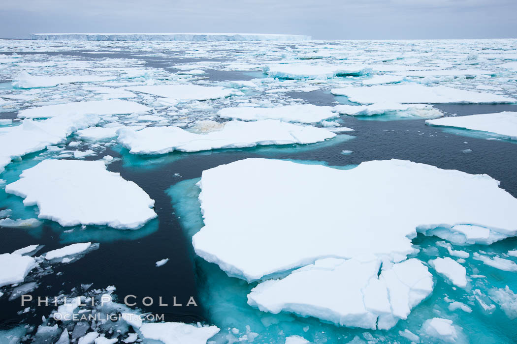 Pack ice and brash ice fills the Weddell Sea, near the Antarctic Peninsula.  This pack ice is a combination of broken pieces of icebergs, sea ice that has formed on the ocean. Southern Ocean, natural history stock photograph, photo id 24792