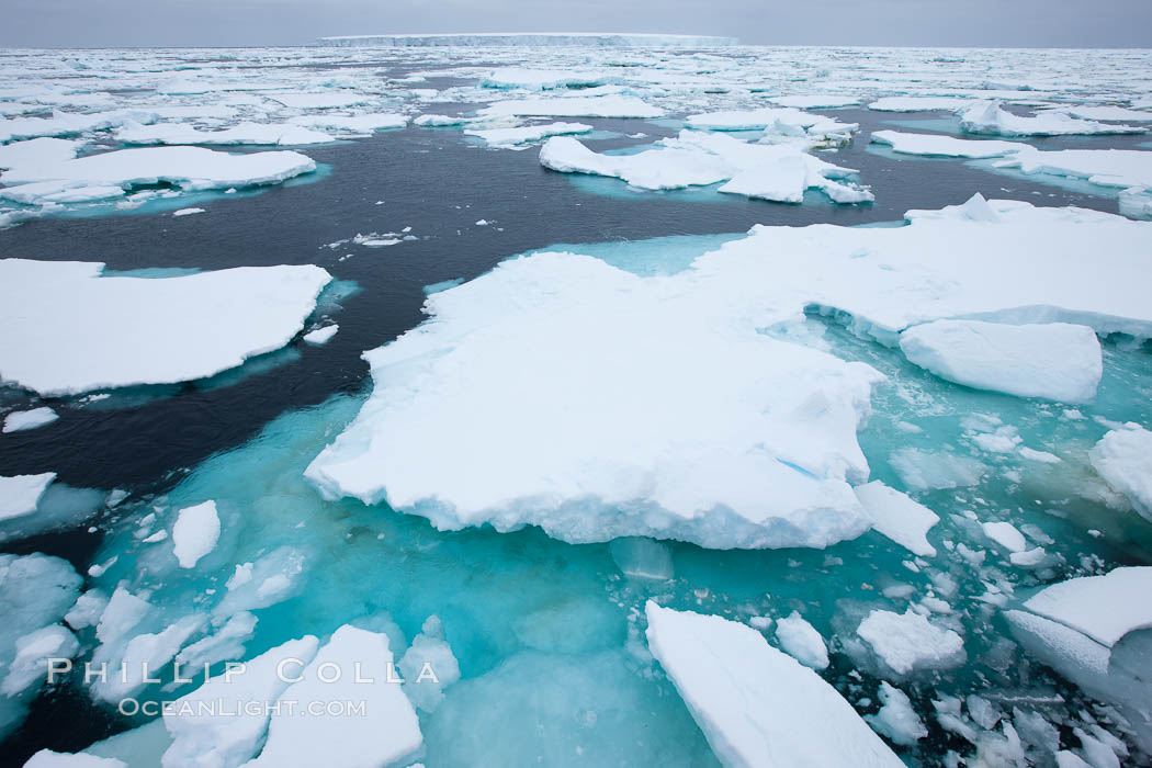 Pack ice, a combination of sea ice and pieces of icebergs, Weddell Sea. Southern Ocean, natural history stock photograph, photo id 25025