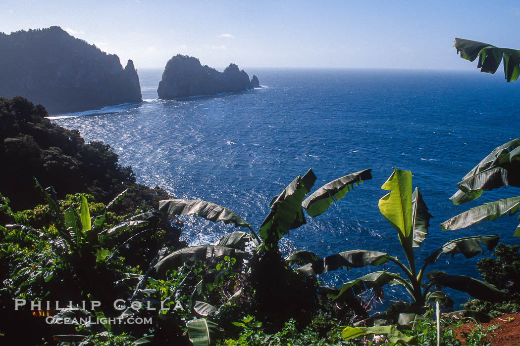 Pago Pago, American Samoa., natural history stock photograph, photo id 36288