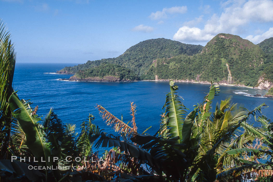 Pago Pago, American Samoa, 36287, Natural History Photography