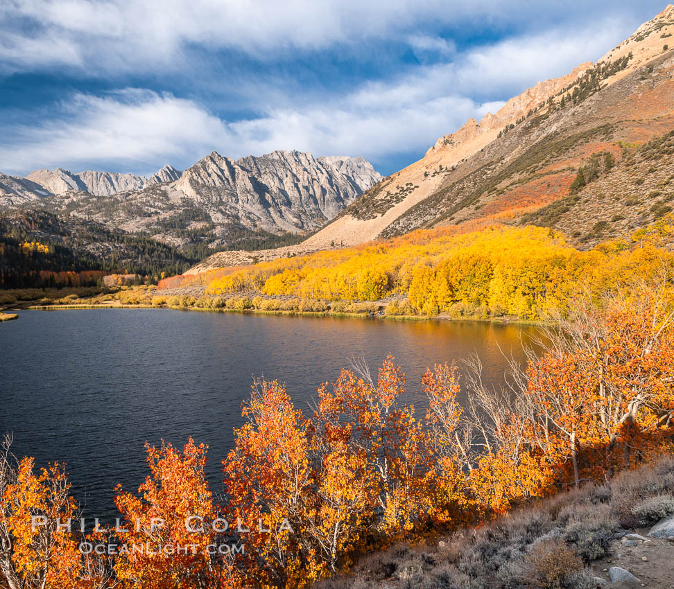 Paiute Peak, Aspen Trees and North Lake, fal colors, Bishop Creek Canyon. Bishop Creek Canyon, Sierra Nevada Mountains, California, USA, Populus tremuloides, natural history stock photograph, photo id 36436