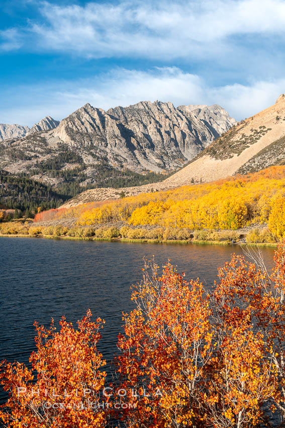 Paiute Peak, Aspen Trees and North Lake, fal colors, Bishop Creek Canyon. Bishop Creek Canyon, Sierra Nevada Mountains, California, USA, Populus tremuloides, natural history stock photograph, photo id 36453