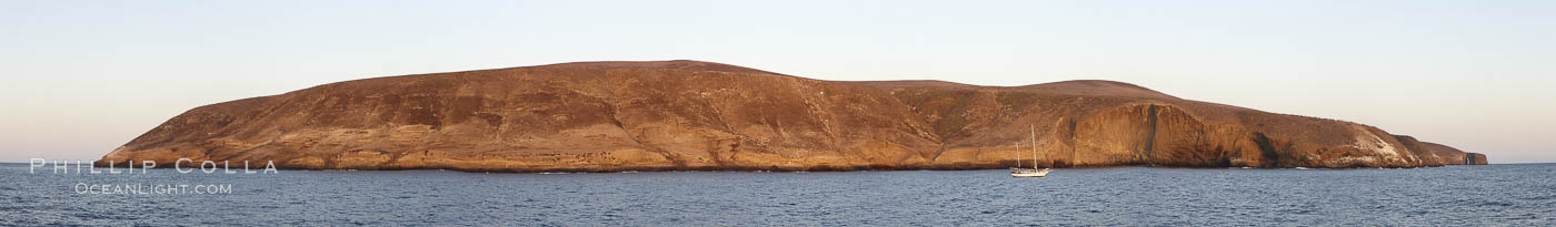 Panoramic photo of Santa Barbara Island, part of the Channel Islands National Marine Sanctuary.  Santa Barbara Island lies 38 miles offshore of the coast of California, near Los Angeles and San Pedro.  California sea lions inhabit the island in the thousands, and can be seen hauled out on the shore in this image. USA, natural history stock photograph, photo id 23598