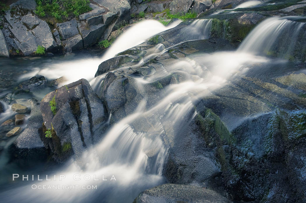 Paradise Falls tumble over rocks in Paradise Creek. Mount Rainier National Park, Washington, USA, natural history stock photograph, photo id 13870