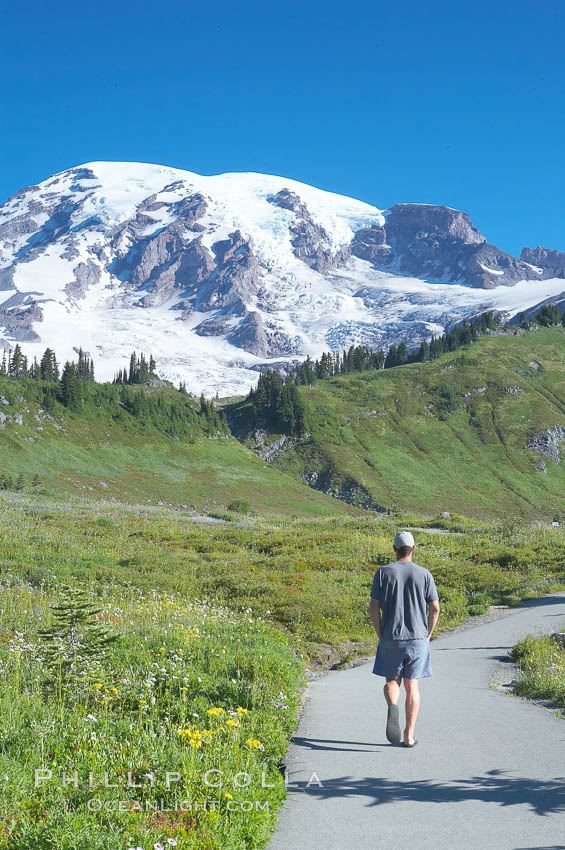 Hiker, Paradise Meadows. Mount Rainier National Park, Washington, USA, natural history stock photograph, photo id 13902