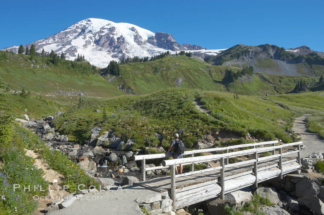 A hiker admires Mount Rainier from the footbridge crossing Edith Creek. Paradise Meadows, Mount Rainier National Park, Washington, USA, natural history stock photograph, photo id 13883