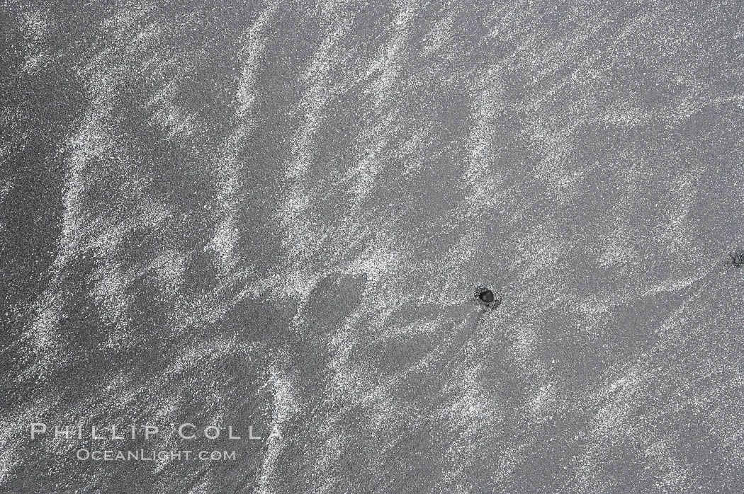 Patterns in the sand. Ruby Beach, Olympic National Park, Washington, USA, natural history stock photograph, photo id 13791