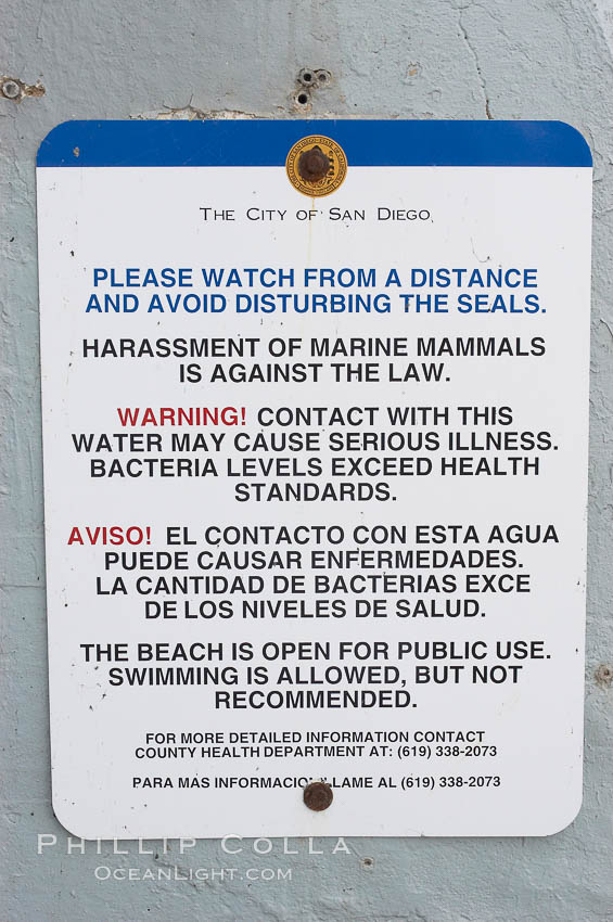 A sign warns visitors to stay away from the harbor seals at Childrens Pool in La Jolla, California while videotaping those who approach the seals.  The La Jolla colony of harbor seals, which has formed a breeding colony at a small but popular beach near San Diego, is at the center of considerable controversy.  While harbor seals are protected from harassment by the Marine Mammal Protection Act and other legislation, local interests would like to see the seals leave so that people can resume using the beach. USA, Phoca vitulina richardsi, natural history stock photograph, photo id 12713